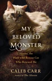My Beloved Monster