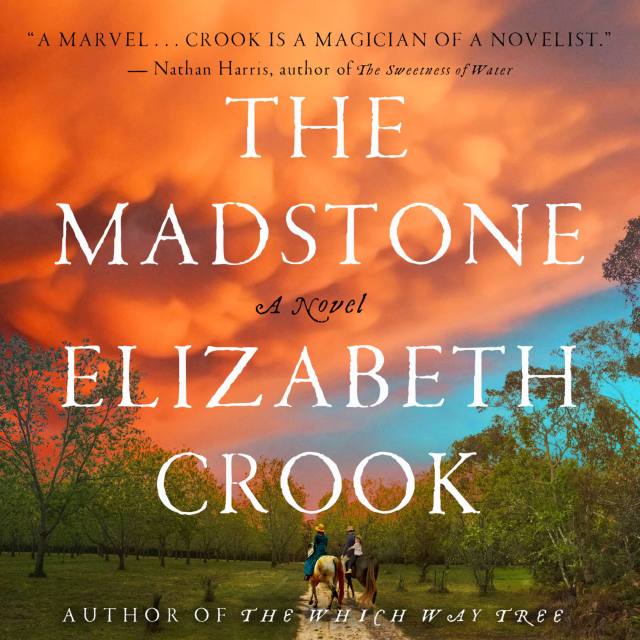 The Madstone