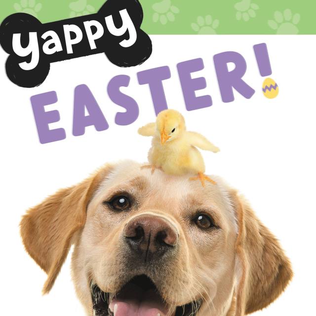 Yappy Easter!