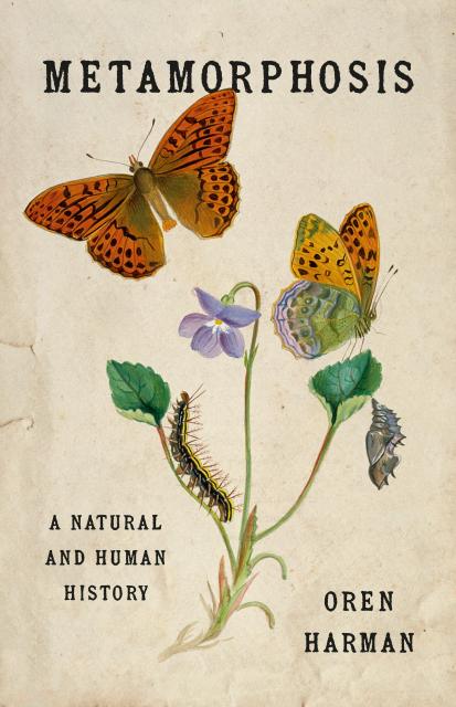 Metamorphosis
