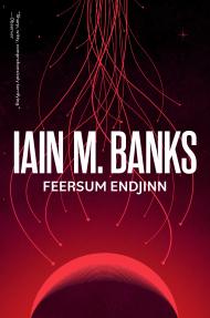 Feersum Endjinn