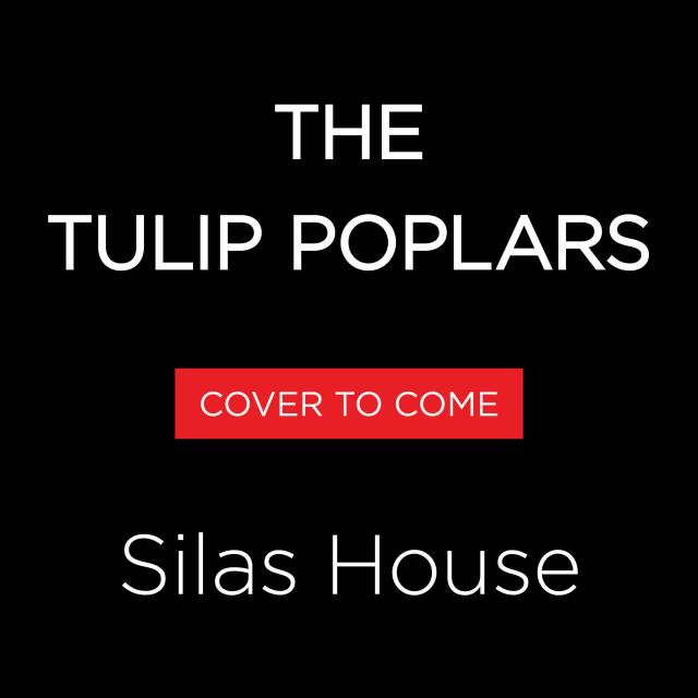 The Tulip Poplars